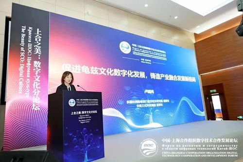 上合之美，數(shù)字賦能 推動(dòng)龜茲文化數(shù)字化發(fā)展，打造產(chǎn)業(yè)融合新格局